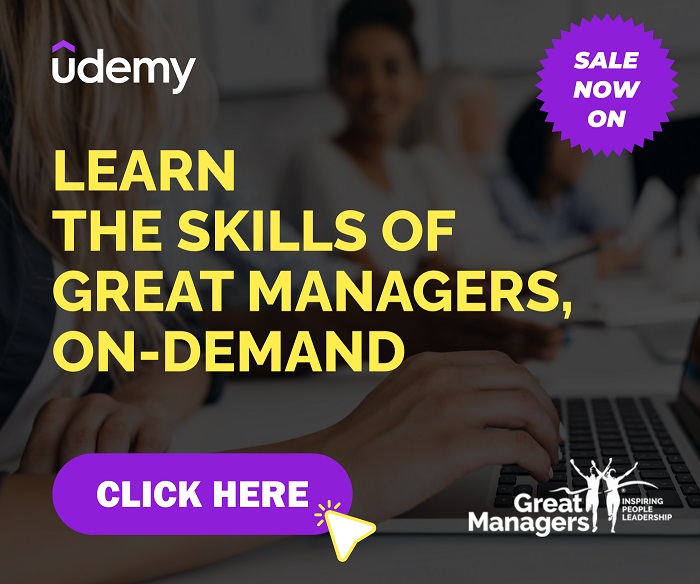 udemy,great managers,painless performance conversations,performance management